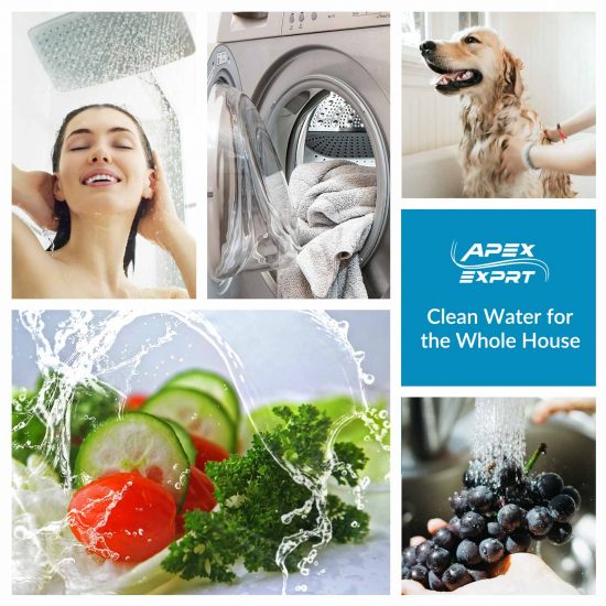 APEX Whole Home Fluoride Removal Water Filter