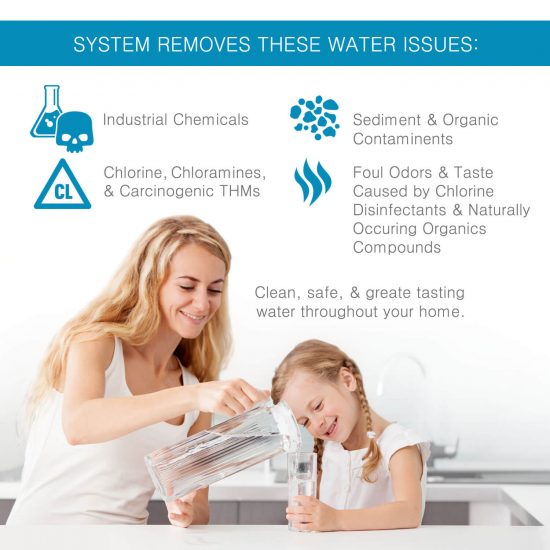 APEX Whole Home Fluoride Removal Water Filter