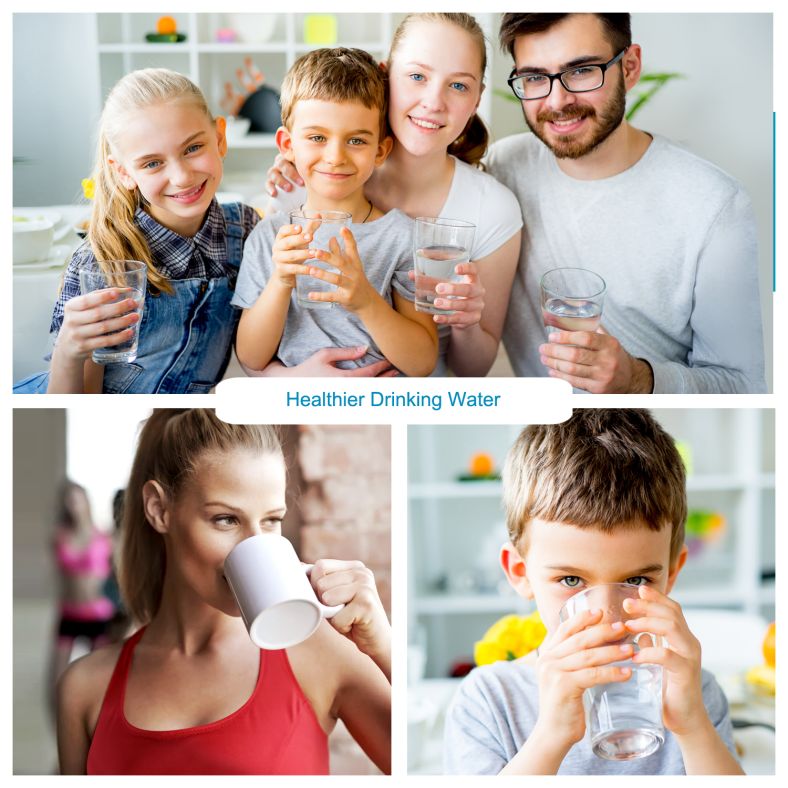 APEX MR-1010 Countertop Drinking Water System